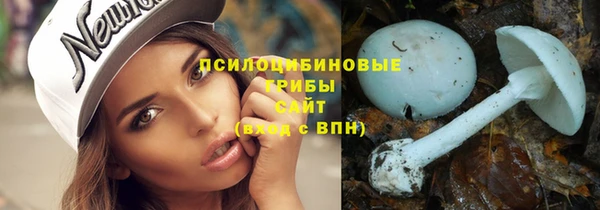 гашик Баксан