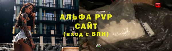 гашик Баксан