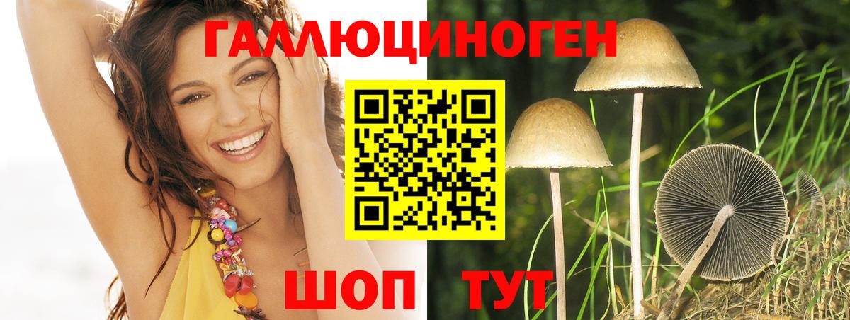 Псилоцибиновые грибы Cubensis Краснокаменск