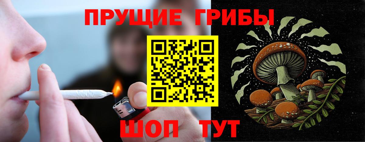 Галлюциногенные грибы GOLDEN TEACHER  Псилоцибиновые грибы Magic Shrooms  Краснокаменск  Вход с VPN 